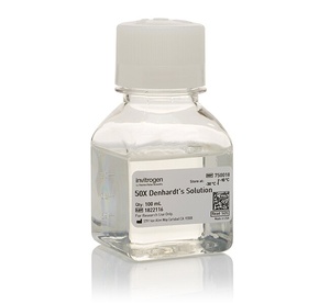Invitrogen™ Denhardt's Solution (50X), 100mL