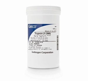 Gibco™ Trypsin (1:250), powder, 100g