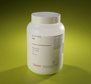 Thermo Scientific™ Pierce Tris – ≥99.8% Pure, 1 kg