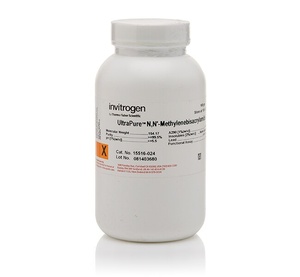 Invitrogen™ UltraPure™ N,N'-Methylenebisacrylamide, 100g