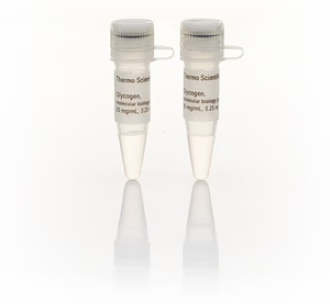 Thermo Scientific™ Glycogen, molecular biology grade, 2 x 0.25 mL