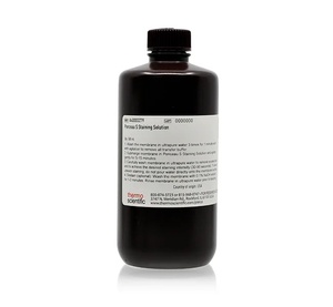 Thermo Scientific™ Ponceau S Staining Solution