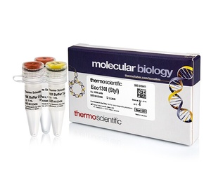 Thermo Scientific™ Eco130I (StyI) (10 U/μL), 2500 U
