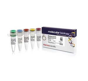 Thermo Scientific™ 10X Buffer Set for Restriction Enzymes, 5 x 1.0 mL