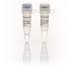 Thermo Scientific™ Fast DNA End Repair Kit, 50 Rxns