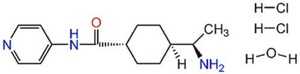 Sigma-Aldrich Calbiochem® Y-27632, ≥95% (HPLC), liquid, Rho kinase inhibitor, 500 μg