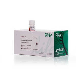 Invitrogen™ Dynabeads™ Oligo(dT)25