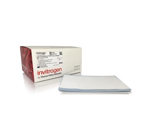 Invitrogen™ Low Fluorescence PVDF Membranes