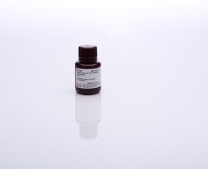Thermo Scientific™ Restore™ Western Blot Stripping Buffer