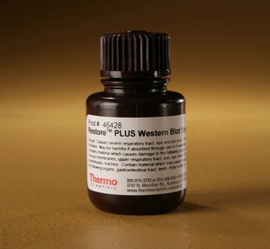 Thermo Scientific™ Restore™ PLUS Western Blot Stripping Buffer