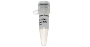 Thermo Scientific™ MgCl2 (magnesium chloride) (25 mM), 4 x 1.25 mL