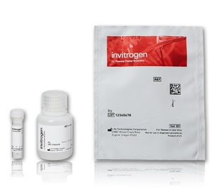 Invitrogen™ Qdot™ Incubation Buffer, 30 mL