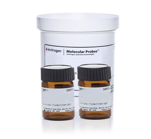 Invitrogen™ NBT/BCIP Reagent Kit, 1g each
