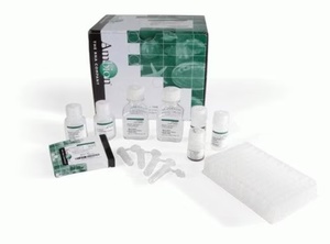 Invitrogen™ MagMAX™ for Stabilized Blood Tubes RNA Isolation Kit, compatible with PAXgene™ Blood RNA Tubes, 96 Preps 