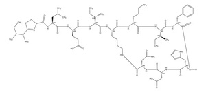 Thermo Scientific™ Bacitracin Powder, potency min. 60 Units/mg