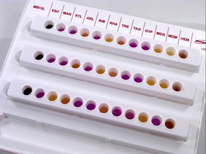 Thermo Scientific™ Oxoid™ Microbact™ Listeria 12L Haemolysin Reagent