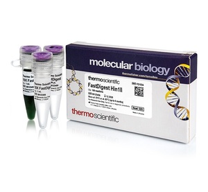 Thermo Scientific™ FastDigest™ Hin1II, 100 μL (100 Reactions) 