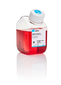 Gibco™ DMEM, high glucose, GlutaMAX™ Supplement