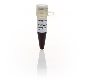 Thermo Scientific™ TriTrack DNA Loading Dye (6X), 5 x 1.0 mL
