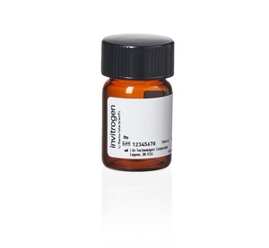 Invitrogen™ Biotin-4-Fluorescein, 5mg