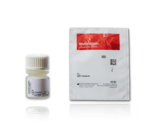 Invitrogen™ D-Biotin (Unconjugated)