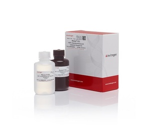 Invitrogen™ Novex™ ECL Chemiluminescent Substrate Reagent Kit 