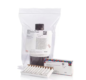Thermo Scientific™ Pierce™ Bradford Plus Protein Assay Kit