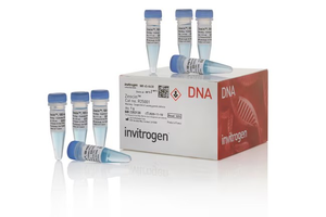 Gibco™ Zeocin™ Selection Reagent