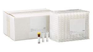 BD™ ELISPOT Mouse IFN-γ ELISPOT Set, 10 Pre-coated Plates 