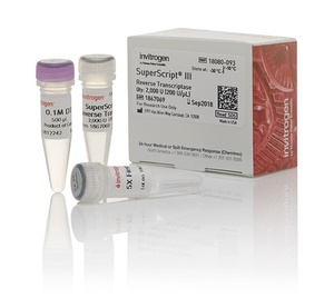 Invitrogen™ SuperScript™ III Reverse Transcriptase