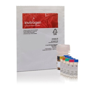 Invitrogen™ Amplex™ Red Glucose/Glucose Oxidase Assay Kit, 500 assays