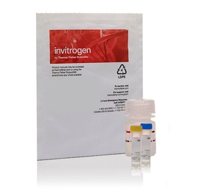 Invitrogen™ EnzChek™ Lysozyme Assay Kit, 	400 assays