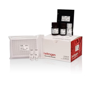 Invitrogen™ Thiobarbituric Acid Reactants (TBARS) Colorimetric Assay Kit, 96 Tests 