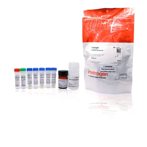 Invitrogen™ ATP Determination Kit, 200–1000 assays 