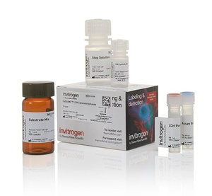 Invitrogen™ CyQUANT™ LDH and G6PD Cytotoxicity Assays