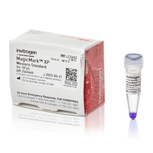 Invitrogen™ MagicMark™ XP Western Protein Standard