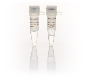 Thermo Scientific™ Uracil-DNA Glycosylase (1 U/μL)