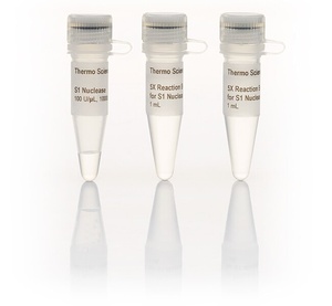 Thermo Scientific™ S1 Nuclease (100 U/μL)