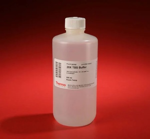 Invitrogen™ eBioscience™ 20X TBS Wash Buffer for IHC/ICC, 100 mL