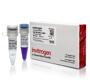 Invitrogen™ High DNA Mass Ladder, 1 kb, with 10X BlueJuice Gel Loading Buffer 