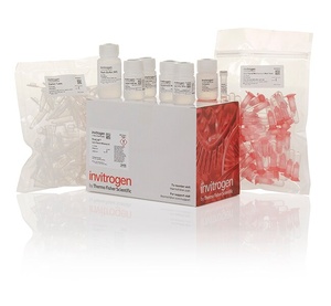Invitrogen™ PureLink™ Quick Plasmid Miniprep Kit