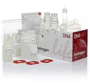 Invitrogen™ PureLink™ HiPure Plasmid Maxiprep Kit