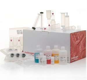 Invitrogen™ PureLink™ Fast Low-Endotoxin Midi Plasmid Purification Kit
