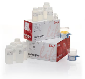 Invitrogen™ PureLink™ HiPure Expi Plasmid Megaprep Kit, 4 Preps