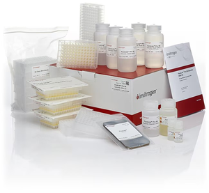 Invitrogen™ PureLink™ Pro 96 Genomic DNA Purification Kit, 4 x 96 Preps 