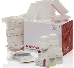 Invitrogen™ PureLink™ Pro 96 Viral RNA/DNA Purification Kit, 4 x 96 Preps