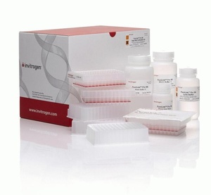 Invitrogen™ PureLink™ Pro 96 total RNA Purification Kit, 4 x 96 Preps 