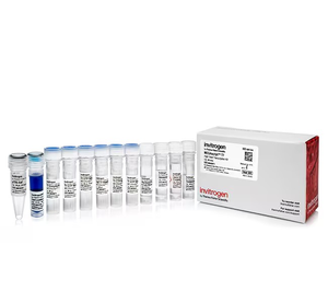 Invitrogen™ MEGAscript™ T7 Transcription Kit