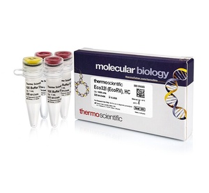 Thermo Scientific™ Eco32I (EcoRV), HC (50 U/μL), 10,000 units 