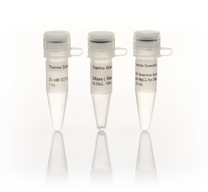 Thermo Scientific™ DNase I, RNase-free, HC (50 U/μL), 1000 units
